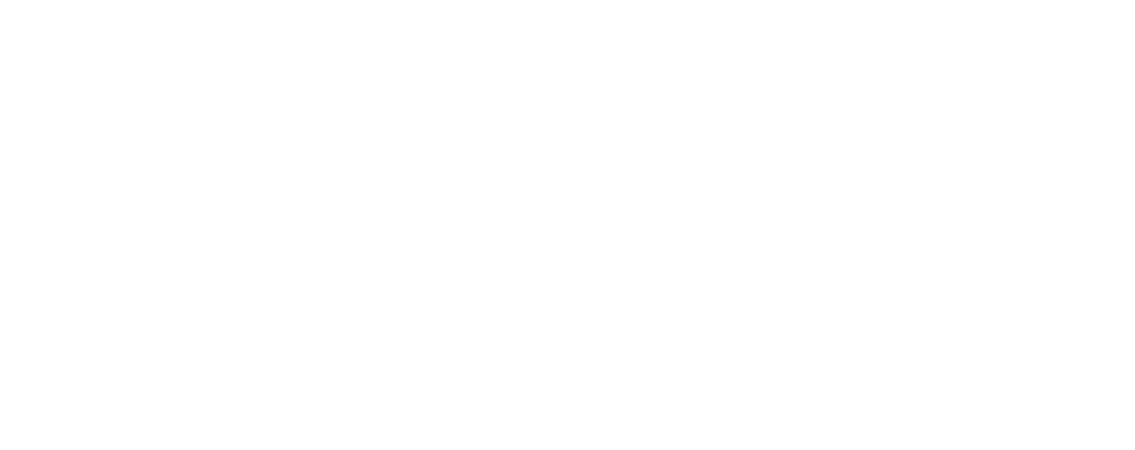 AVEDIS WORX